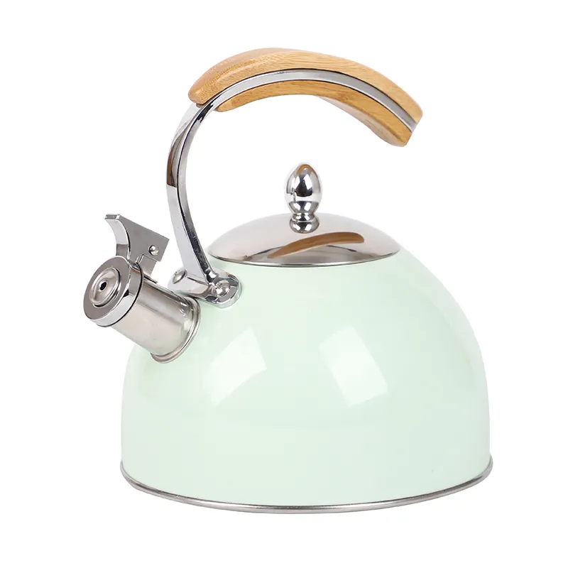 New Design Whistling Tea Kettle Stainless Steel Water Tea Pot With Color Painting Kitchen Home High Quality Whistle Kettle